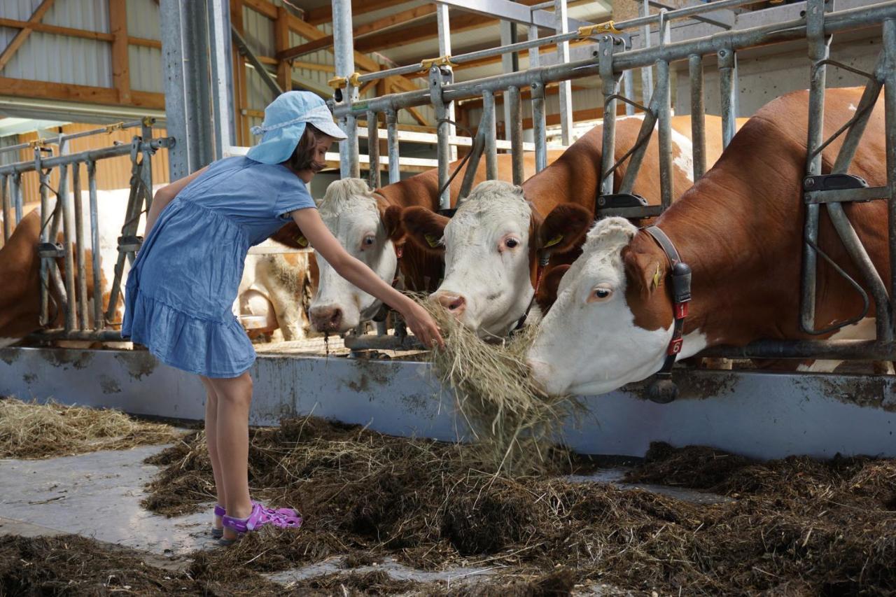 Kinderbauernhof Salmanner Steinbach an der Steyr Bagian luar foto