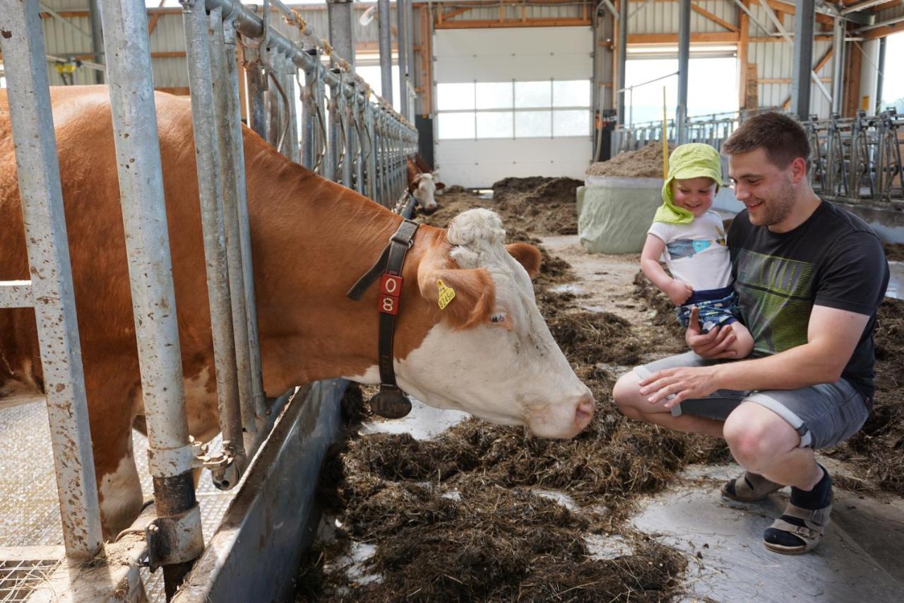 Kinderbauernhof Salmanner Steinbach an der Steyr Bagian luar foto