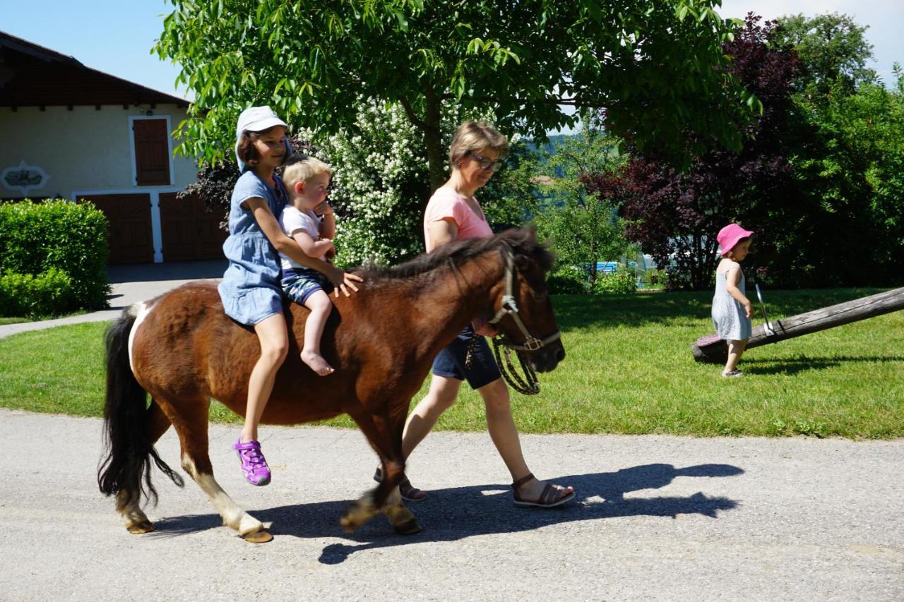 Kinderbauernhof Salmanner Steinbach an der Steyr Bagian luar foto