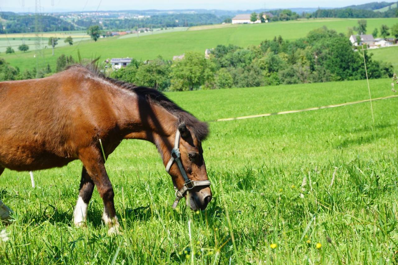 Kinderbauernhof Salmanner Steinbach an der Steyr Bagian luar foto