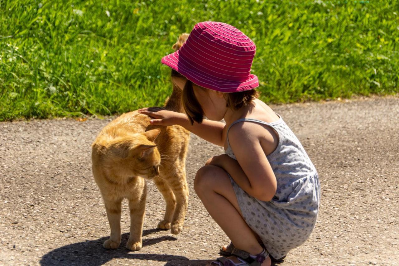 Kinderbauernhof Salmanner Steinbach an der Steyr Bagian luar foto