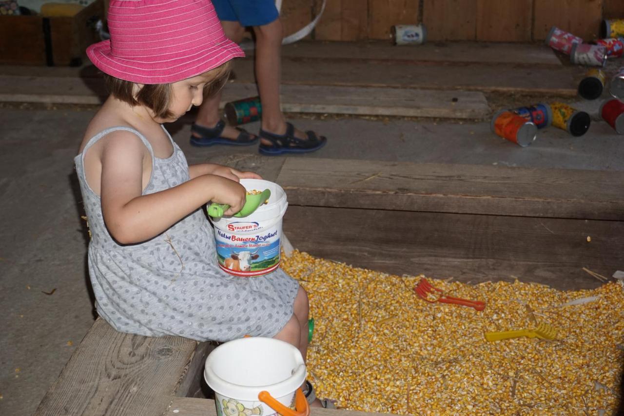 Kinderbauernhof Salmanner Steinbach an der Steyr Bagian luar foto