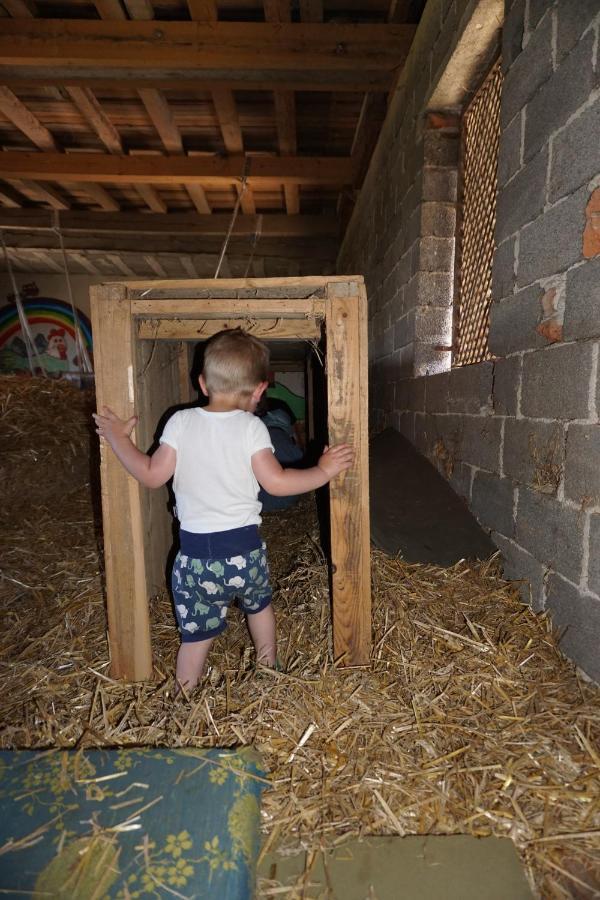Kinderbauernhof Salmanner Steinbach an der Steyr Bagian luar foto