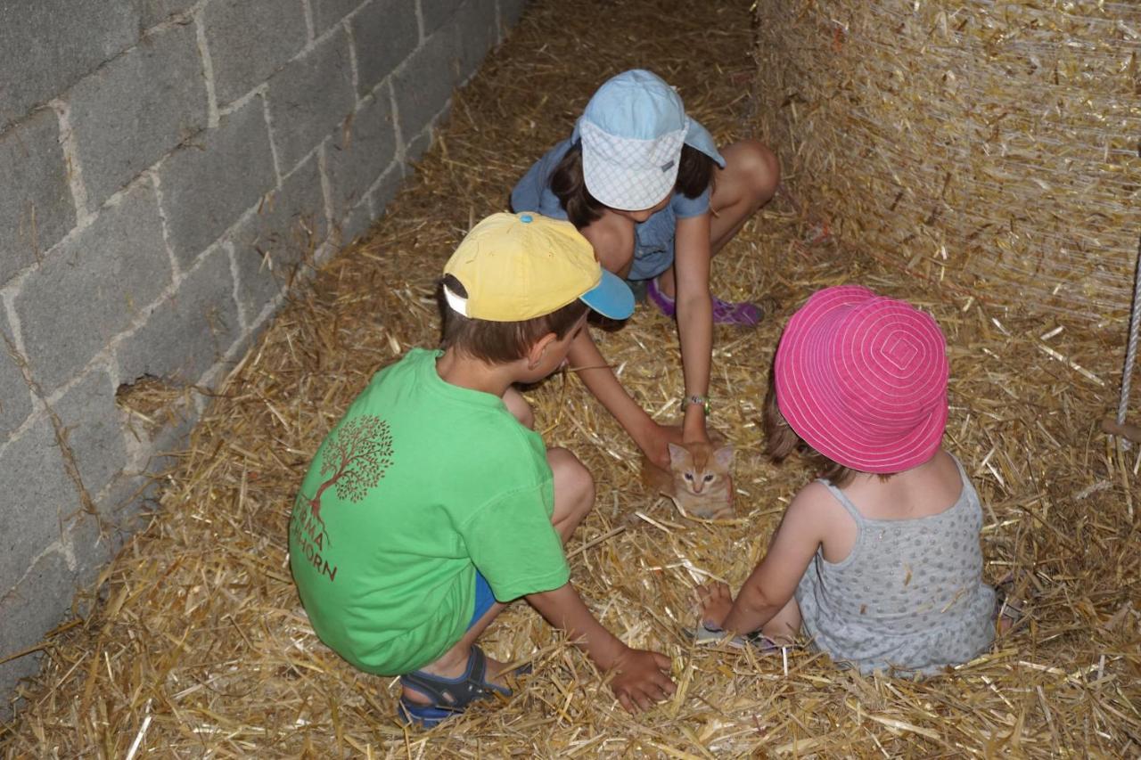 Kinderbauernhof Salmanner Steinbach an der Steyr Bagian luar foto