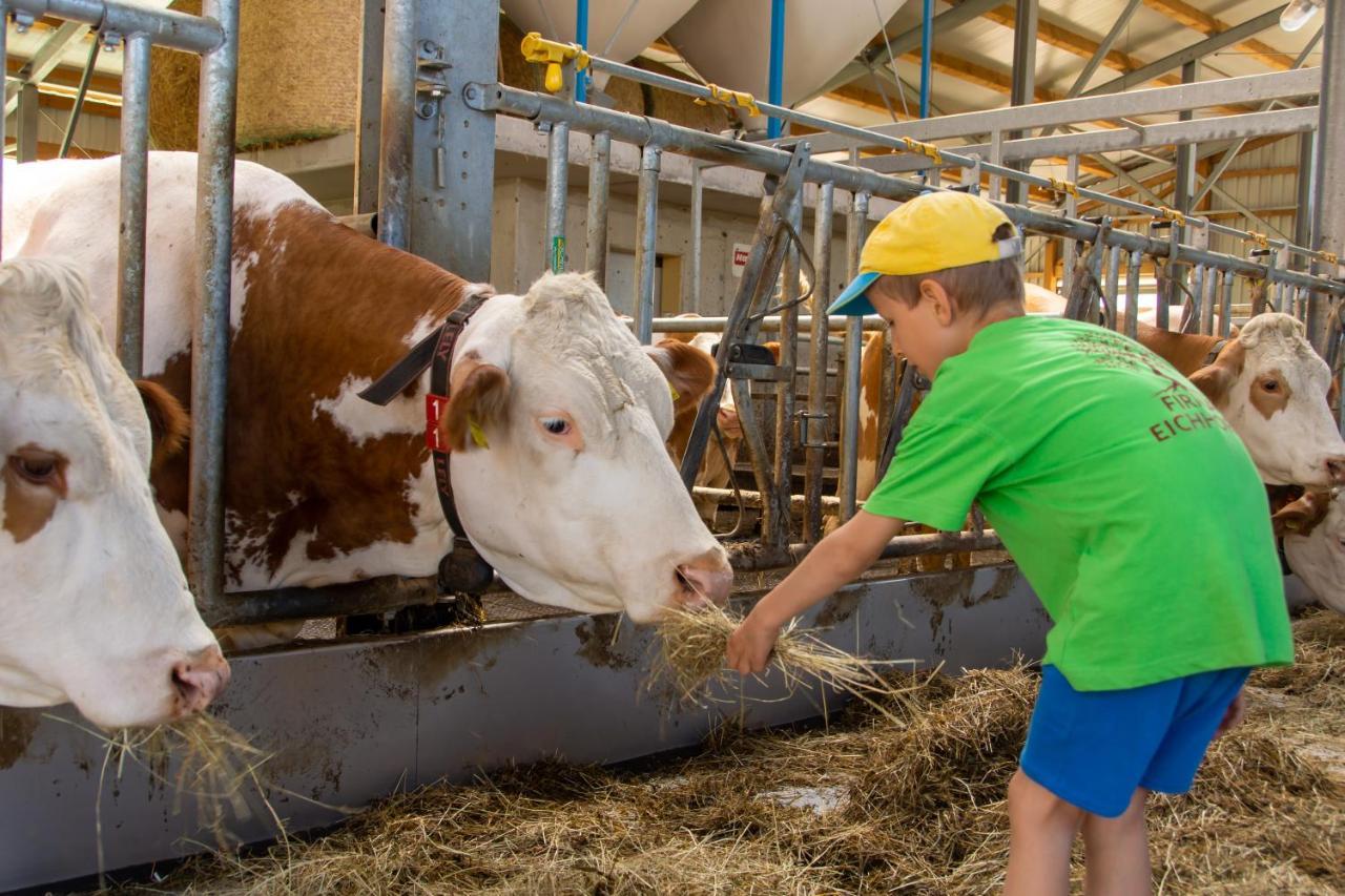 Kinderbauernhof Salmanner Steinbach an der Steyr Bagian luar foto