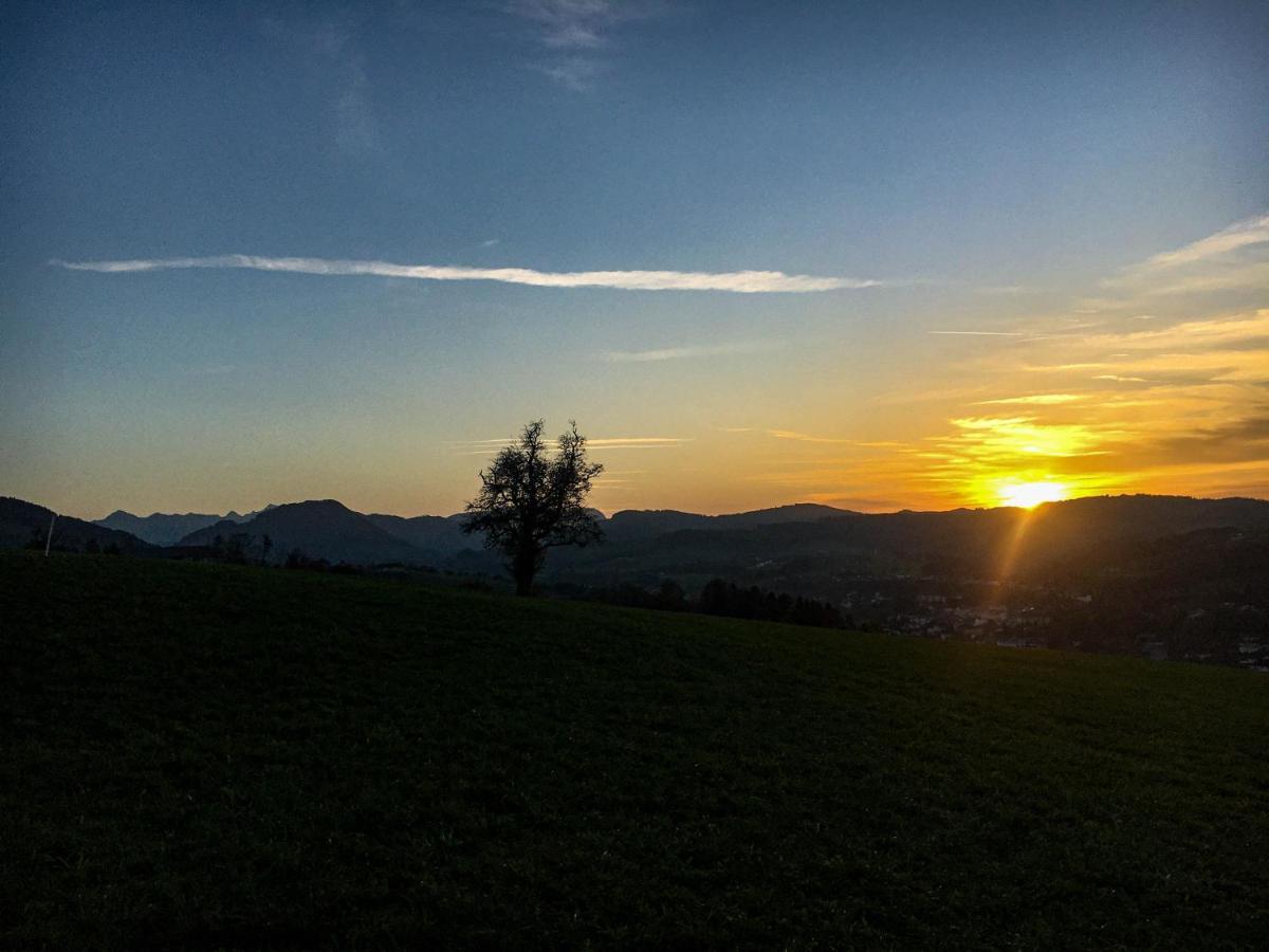 Kinderbauernhof Salmanner Steinbach an der Steyr Bagian luar foto