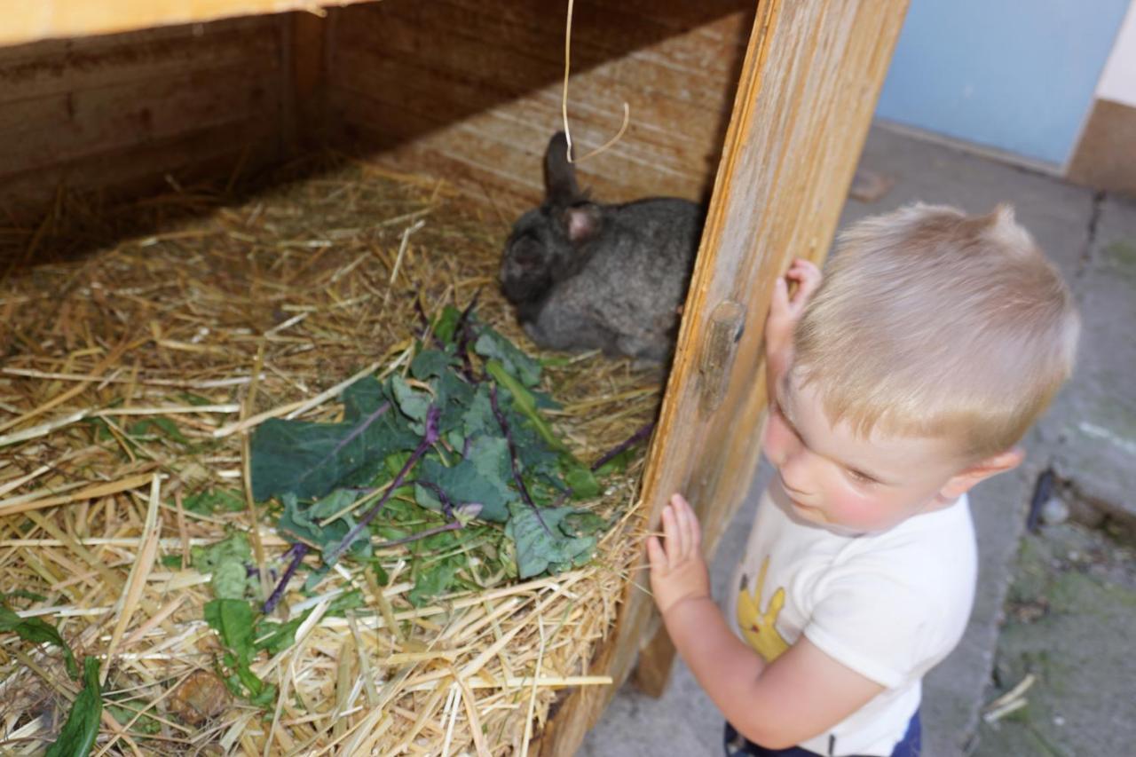 Kinderbauernhof Salmanner Steinbach an der Steyr Bagian luar foto