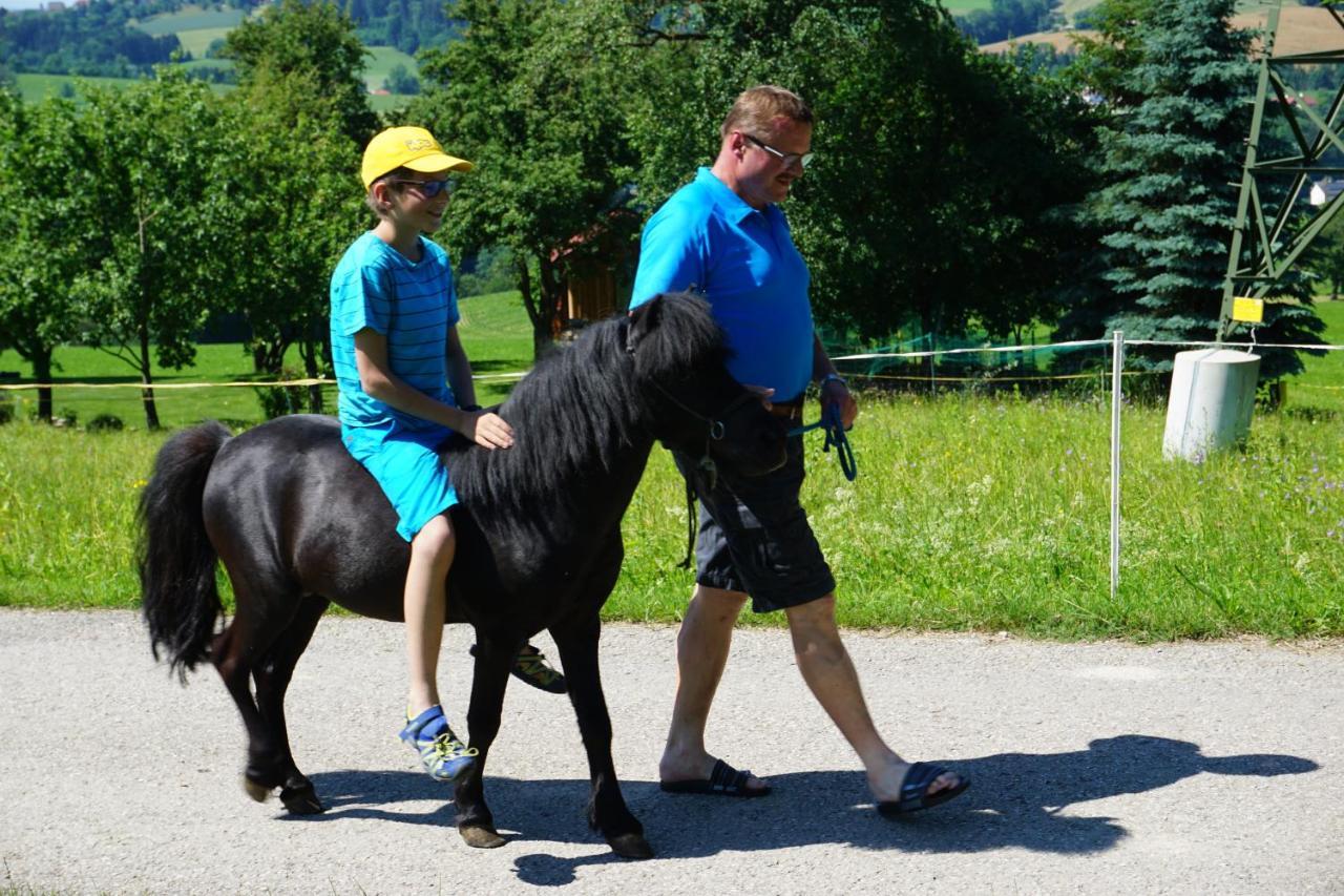 Kinderbauernhof Salmanner Steinbach an der Steyr Bagian luar foto