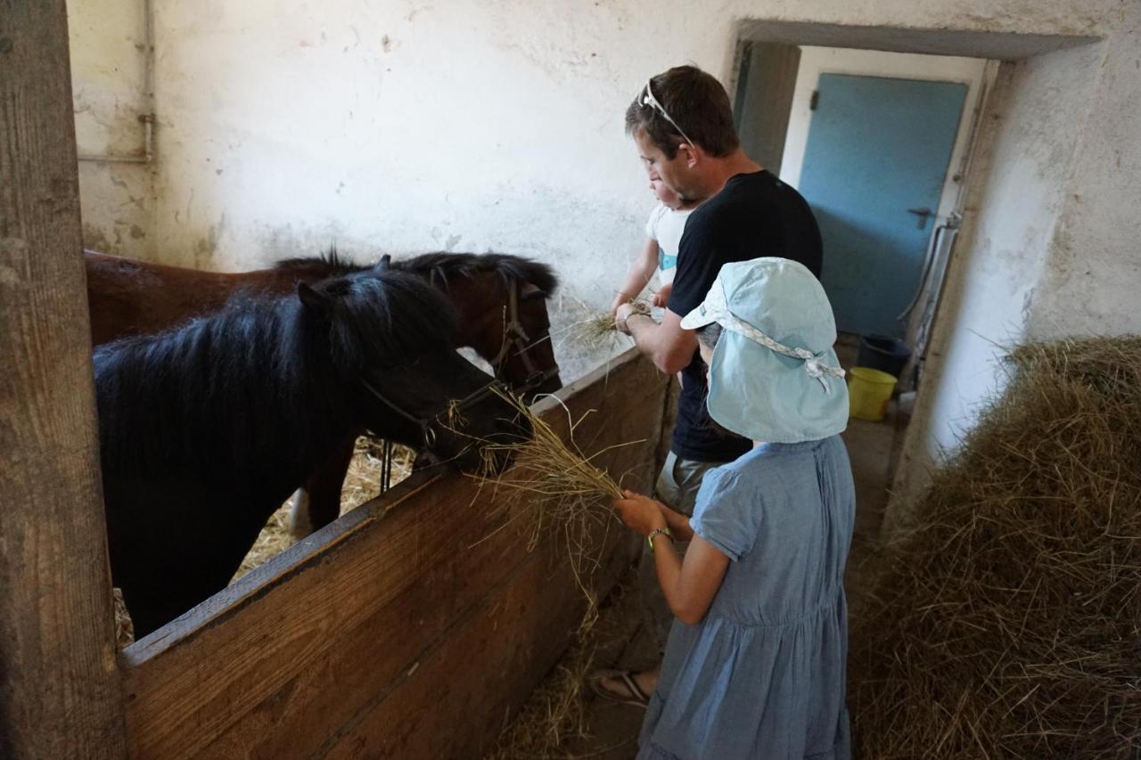 Kinderbauernhof Salmanner Steinbach an der Steyr Bagian luar foto