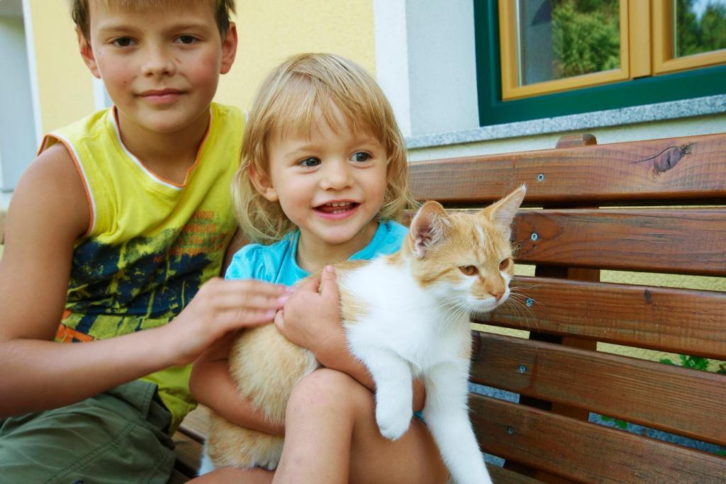 Kinderbauernhof Salmanner Steinbach an der Steyr Bagian luar foto
