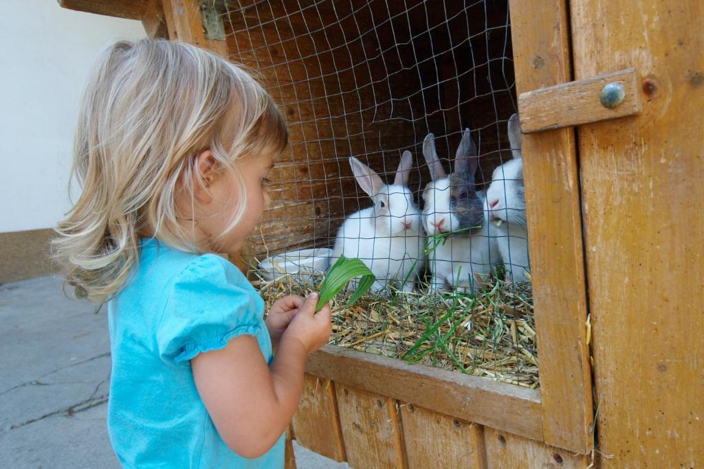 Kinderbauernhof Salmanner Steinbach an der Steyr Bagian luar foto